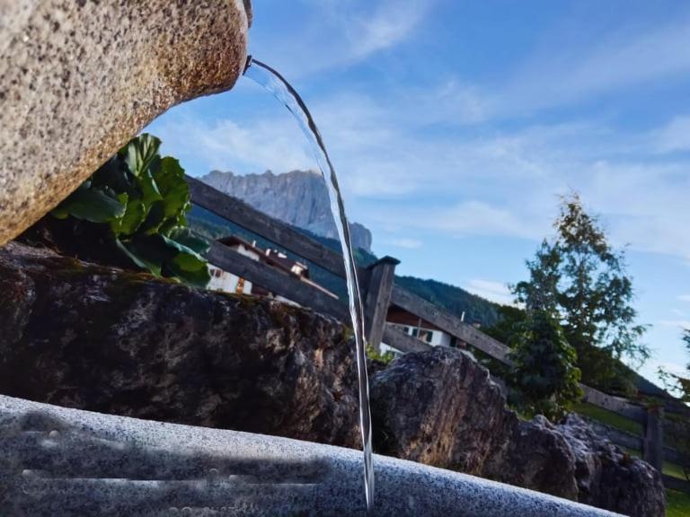 Garni Hotel Iris Selva di Val Gardena Ngoại thất bức ảnh