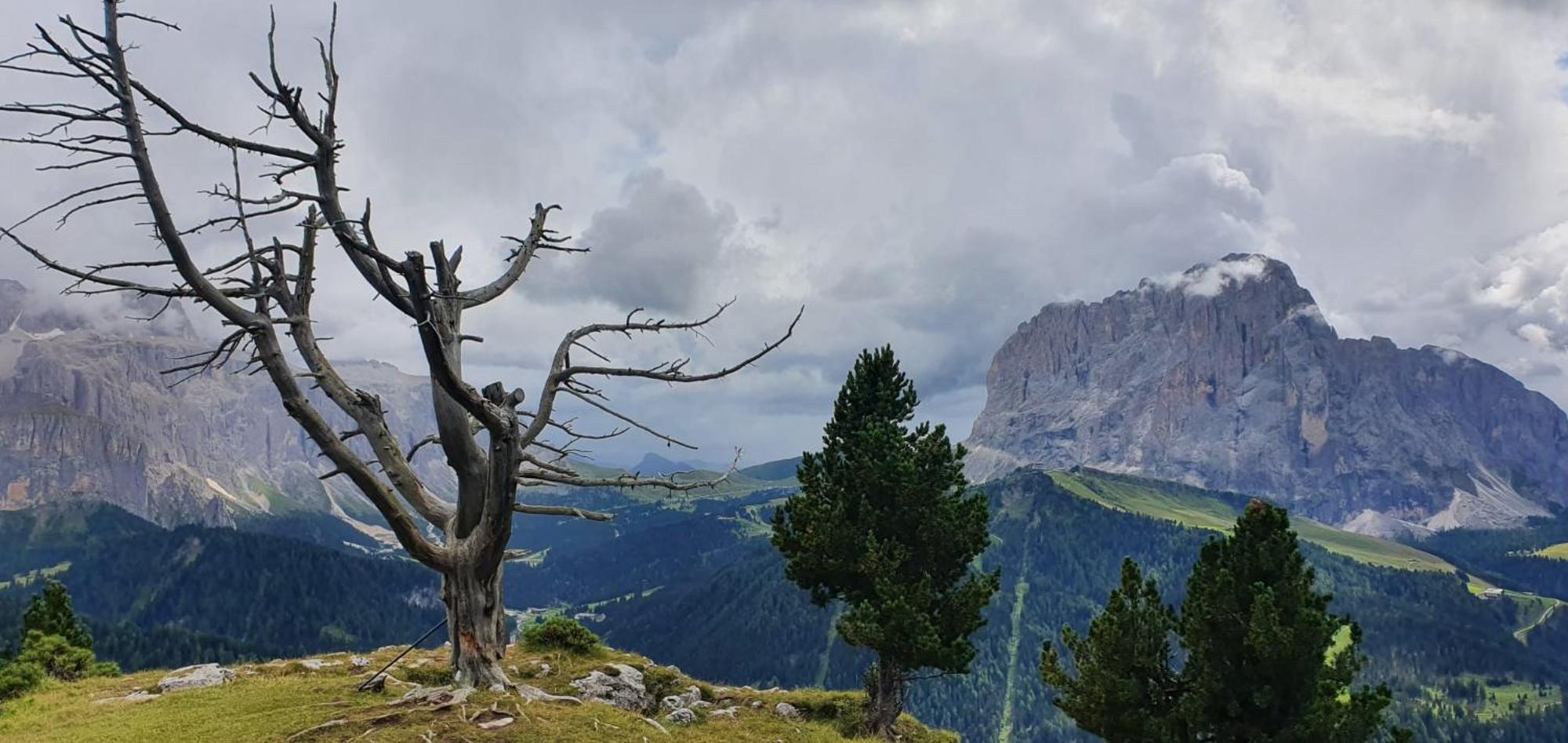 Garni Hotel Iris Selva di Val Gardena Ngoại thất bức ảnh