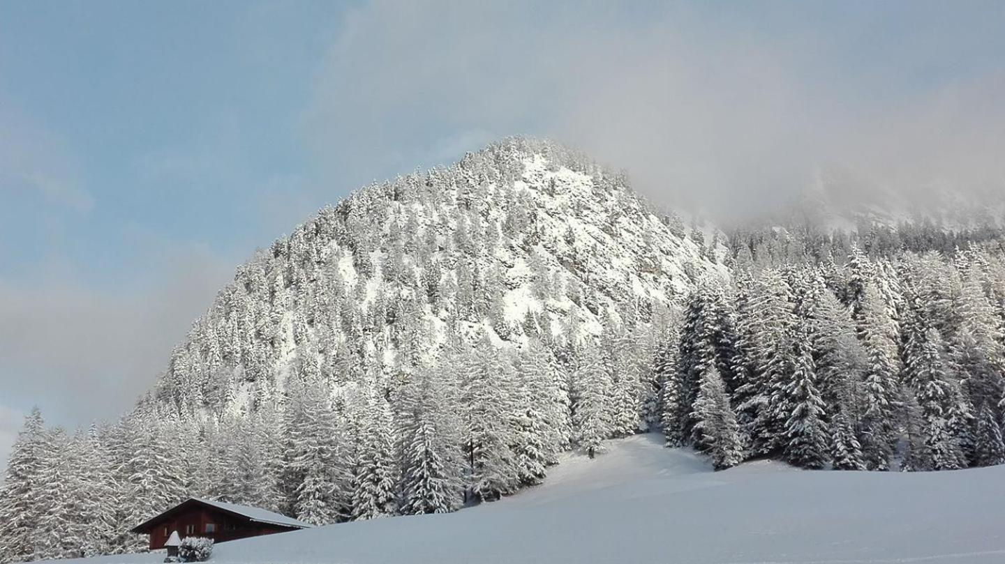 Garni Hotel Iris Selva di Val Gardena Ngoại thất bức ảnh