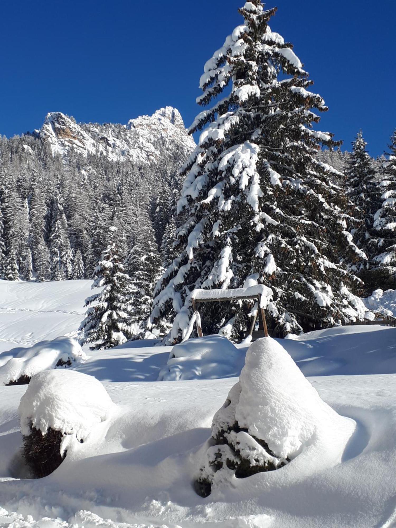 Garni Hotel Iris Selva di Val Gardena Ngoại thất bức ảnh