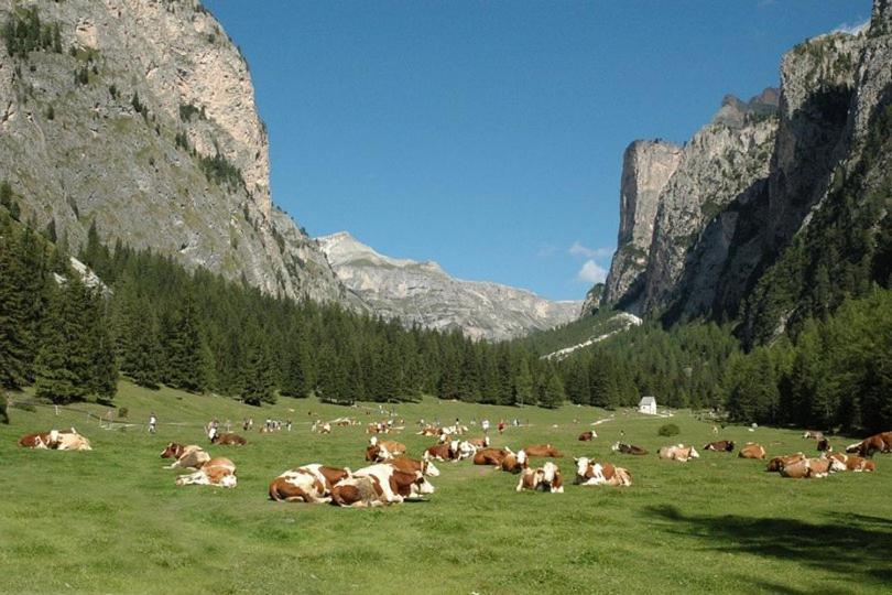 Garni Hotel Iris Selva di Val Gardena Ngoại thất bức ảnh